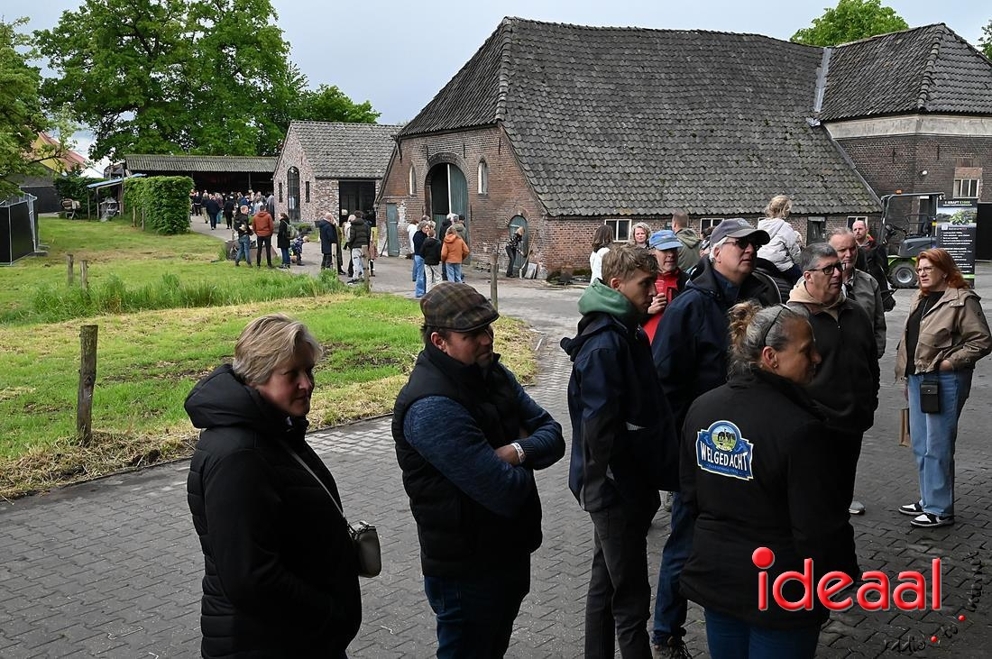 JB-Bronckhorsterfestival-2026-05-14-0036.JPG