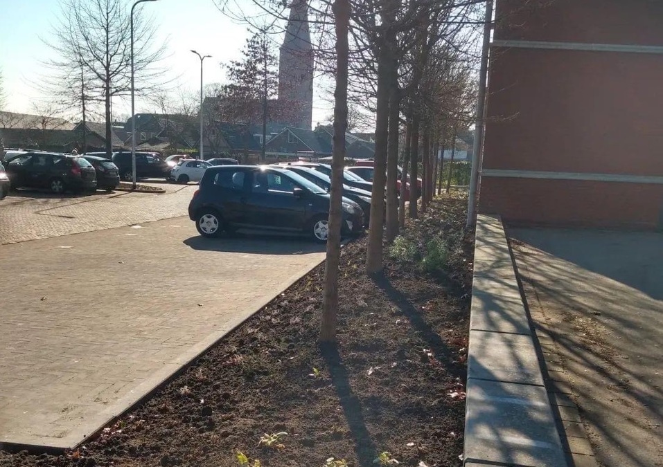 Plantvakken
