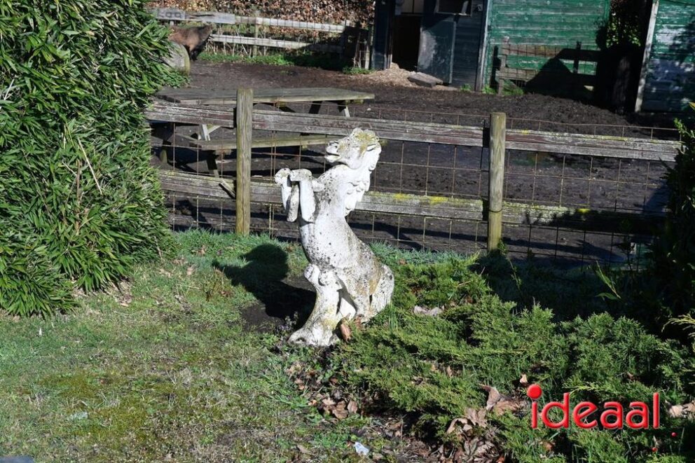 JB-wandel5maandse-2026-03-15-012
