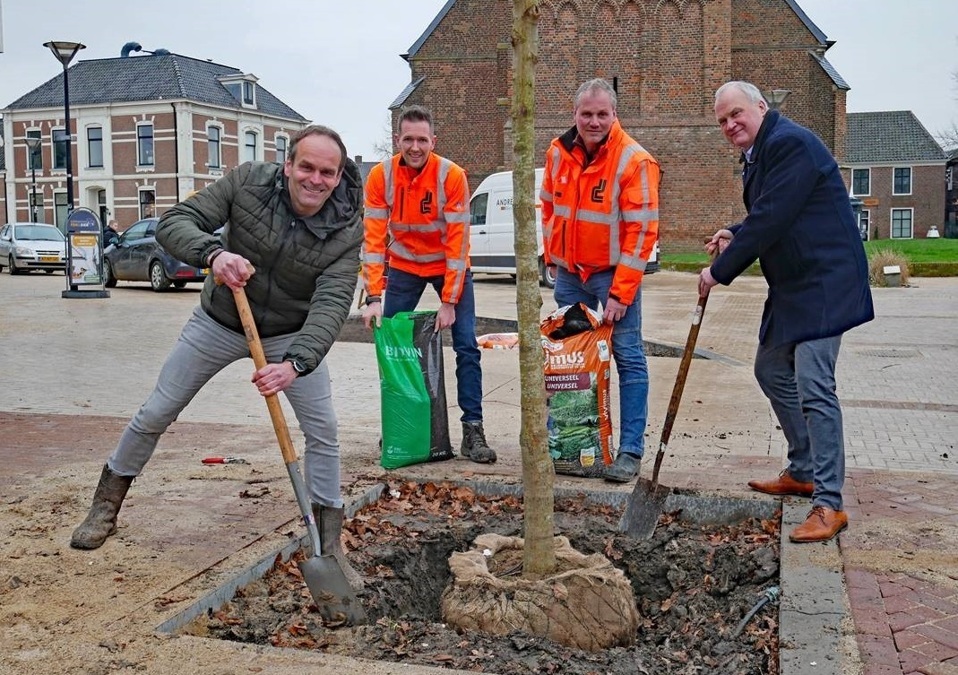 Het-centrum-van-Dinxperlo-krijgt-meer-groen-eerste-boom-geplaatst-gemeente-Aalten
