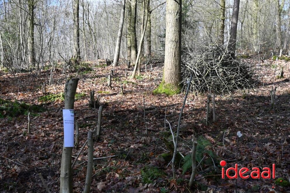 JB-wandel5maandse-2026-03-15-042