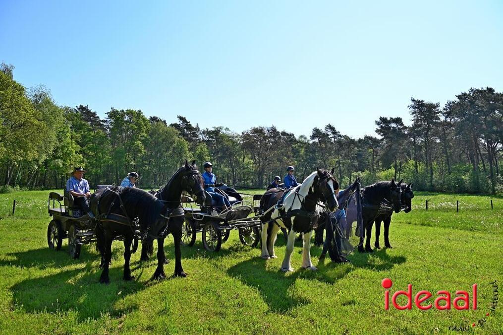 paardenBarchem13-05-2023_022