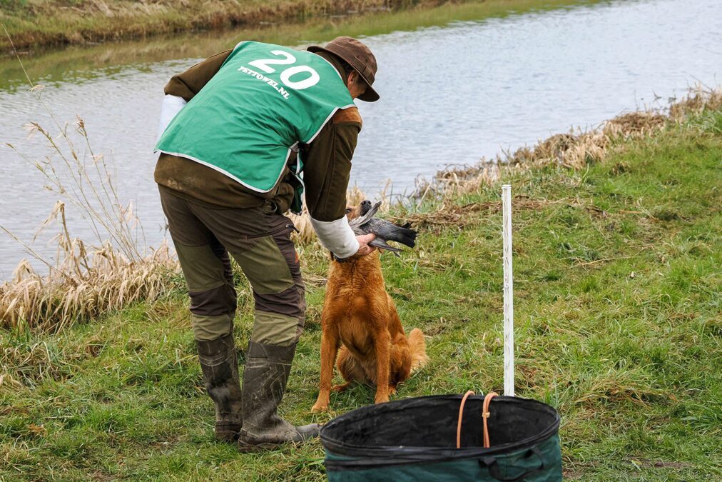 20250222_Lochem-Champions-Trophy-voor-Retrievers-40-scaled