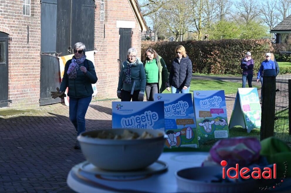 JB-Plattelandswandeling-2026-03-29-014