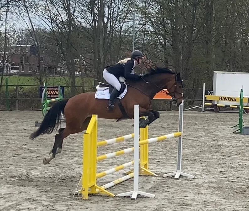 Succesvol-springweekend-Hippische-Vereniging-Winterswijk