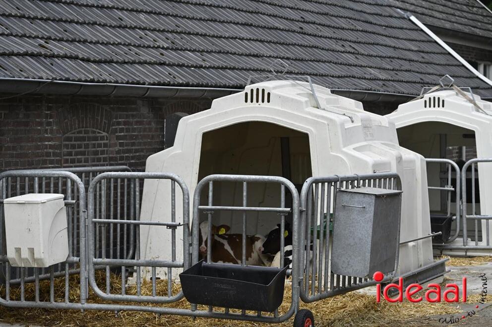 JB-Pannenkoekenrit1-2026-07-26-0005