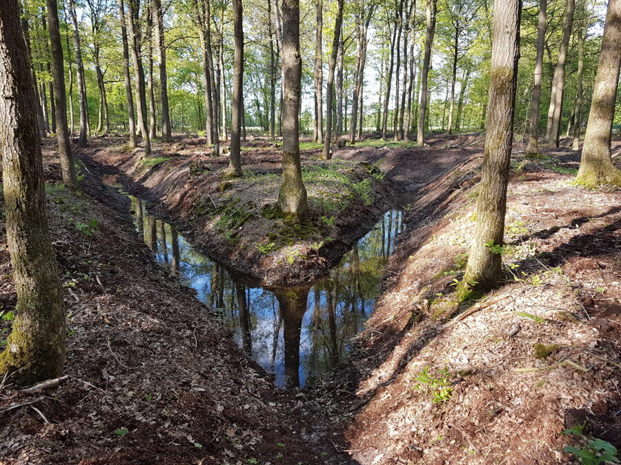 20180502_183809_Pothaar_Sterrebos-scaled.jpg