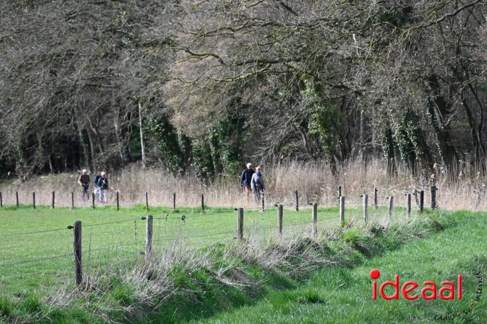 JB-Plattelandswandeling-2026-03-29-137