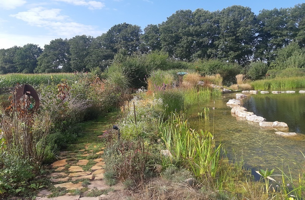 Tuin-in-Harfsen-1.jpg