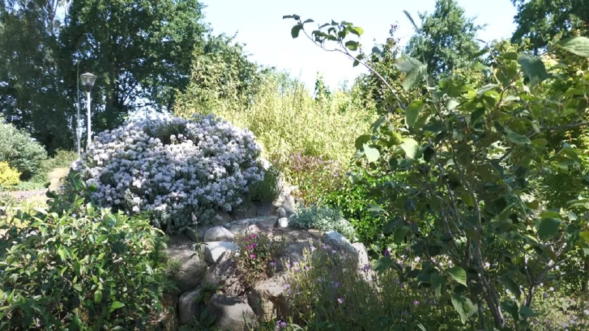 20220617-0pen-tuin-bij-Joyce-ven-Andre-in-Loerbeek
