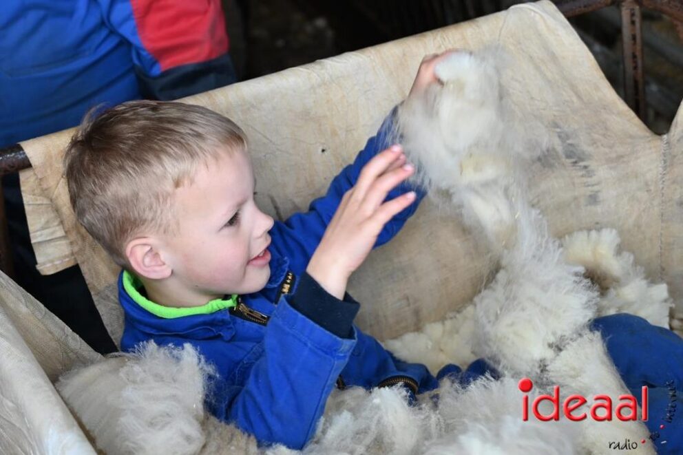 JB-Plattelandswandeling-2026-03-29-122