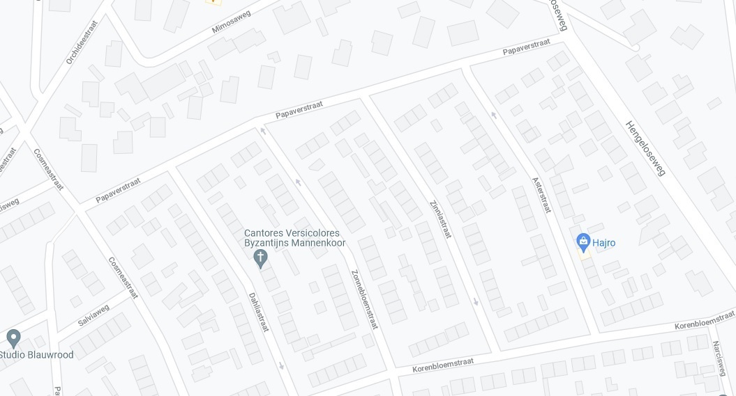 zelhem-overzicht-bloemenbuurt-google-maps.jpg