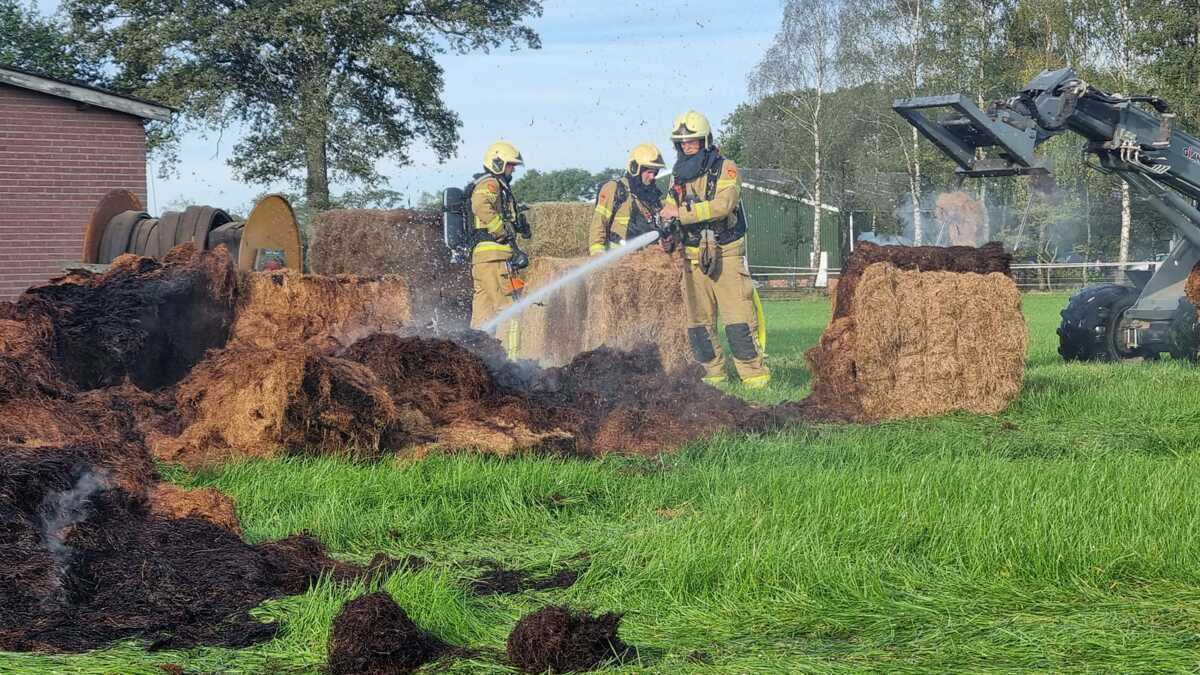 Brand-Vorden