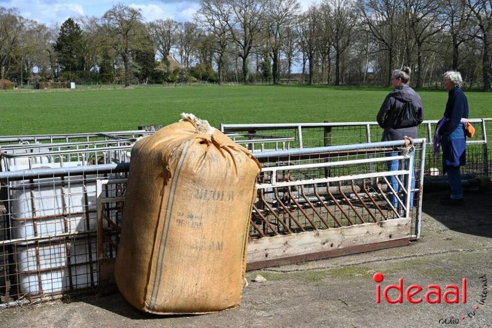 JB-Plattelandswandeling-2026-03-29-130