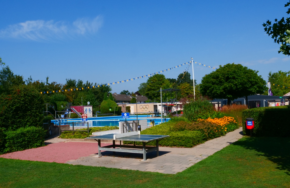 P1011770 (002)