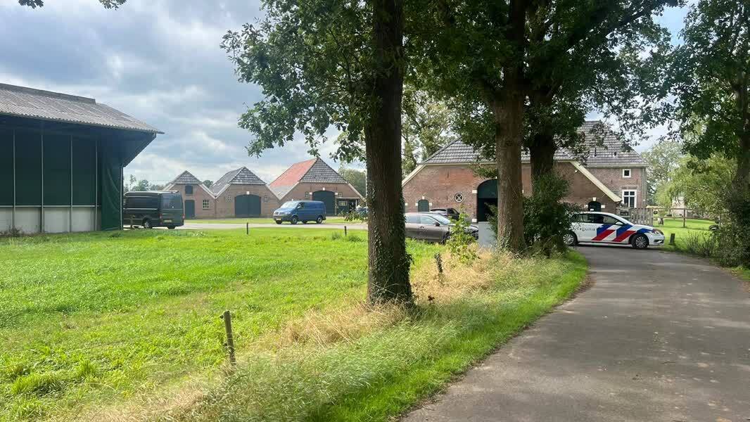 laren