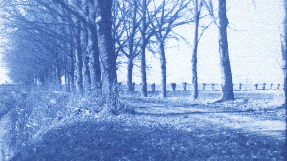 Havikerwaard 2 - foto Ruud Smit _ Blauwdruk (002)