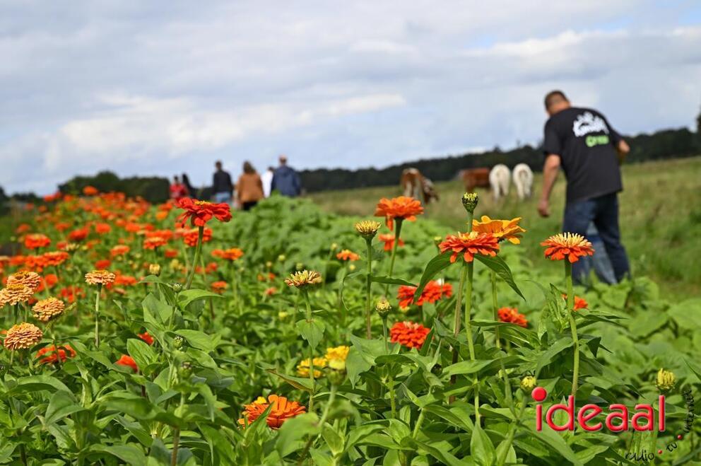 JB-opendag-2026-09-05-0037