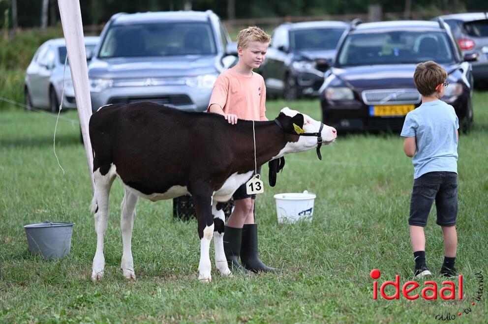 JB-KOCBronckhorst-2026-08-29-0060