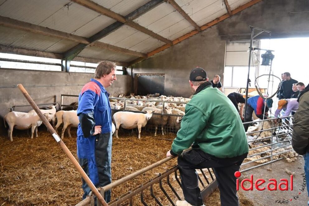 JB-Plattelandswandeling-2026-03-29-128