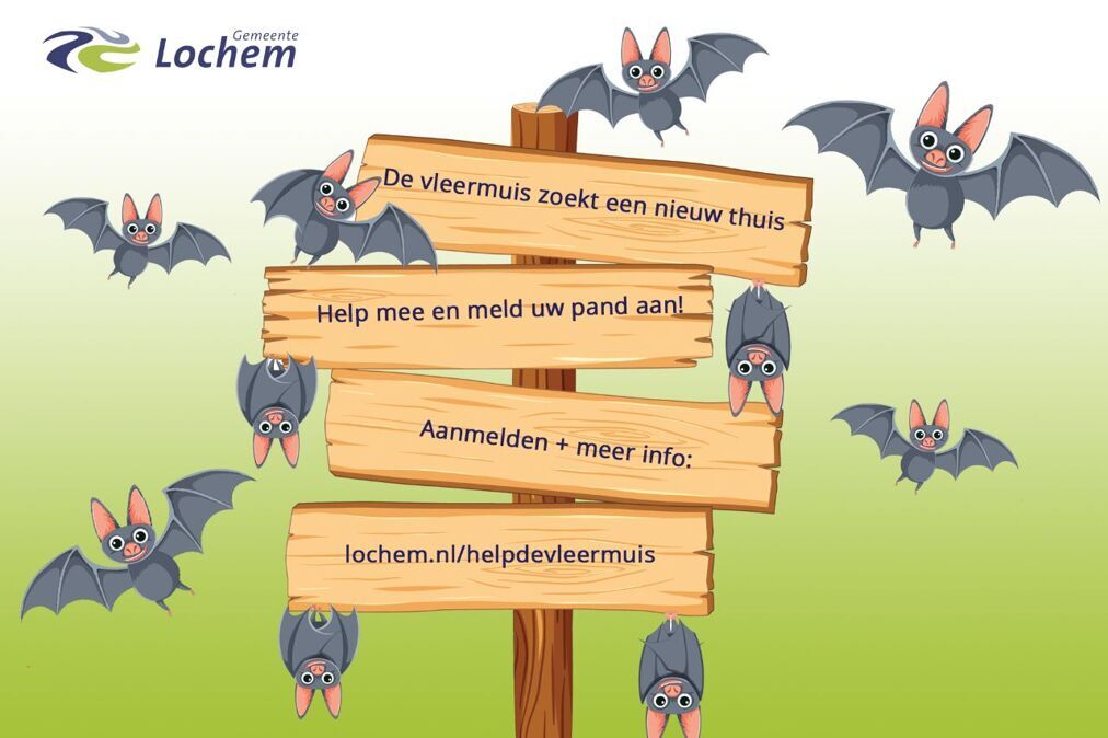 Vleermuizen-met-beter-logo-gemeente-002