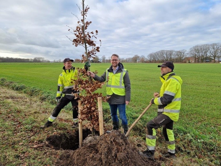 Planten-1e-van-200-bomen-in-buitengebied-Zwolle