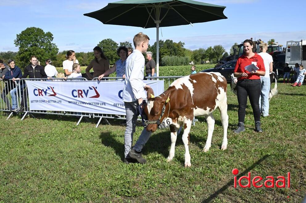 JB-KOCBronckhorst-2026-08-29-0007