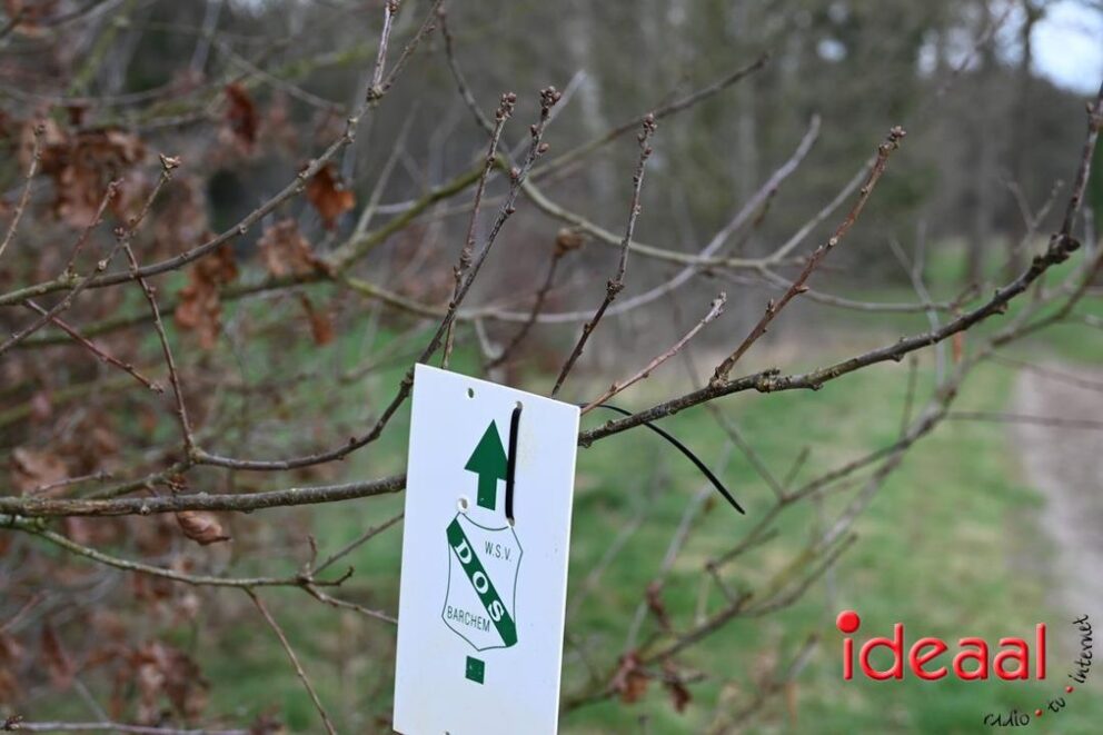 JB-wandel5maandse-2026-03-15-094