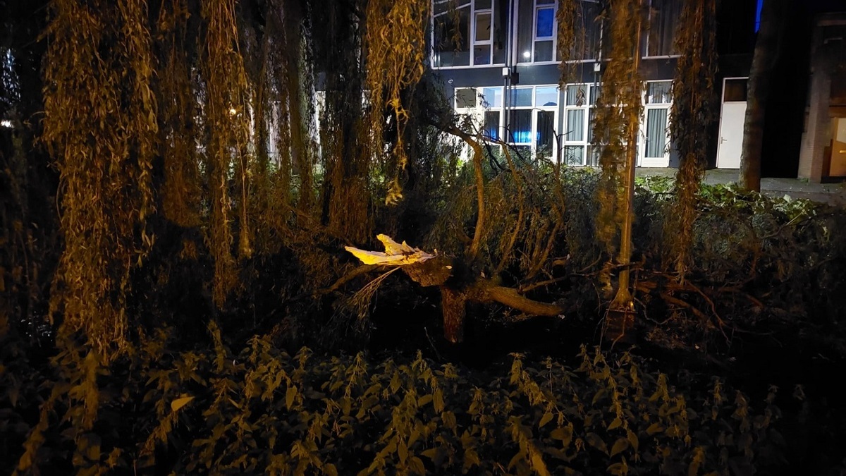 20230913-Boom-afgebroken-in-Lochem-foto-rtv-ideaal