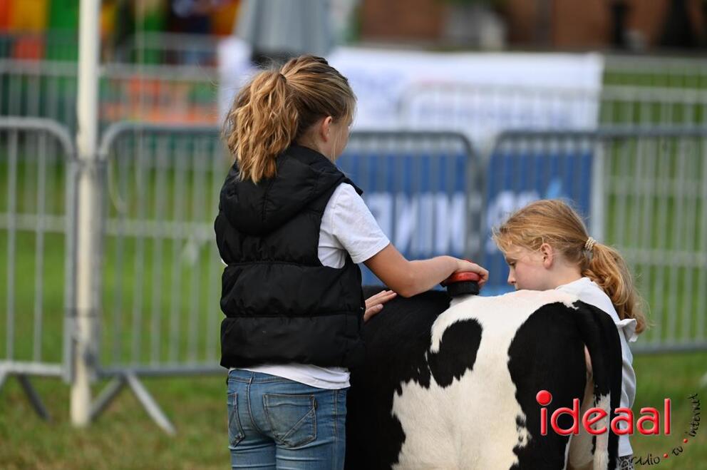 JB-KOCBronckhorst-2026-08-29-0031