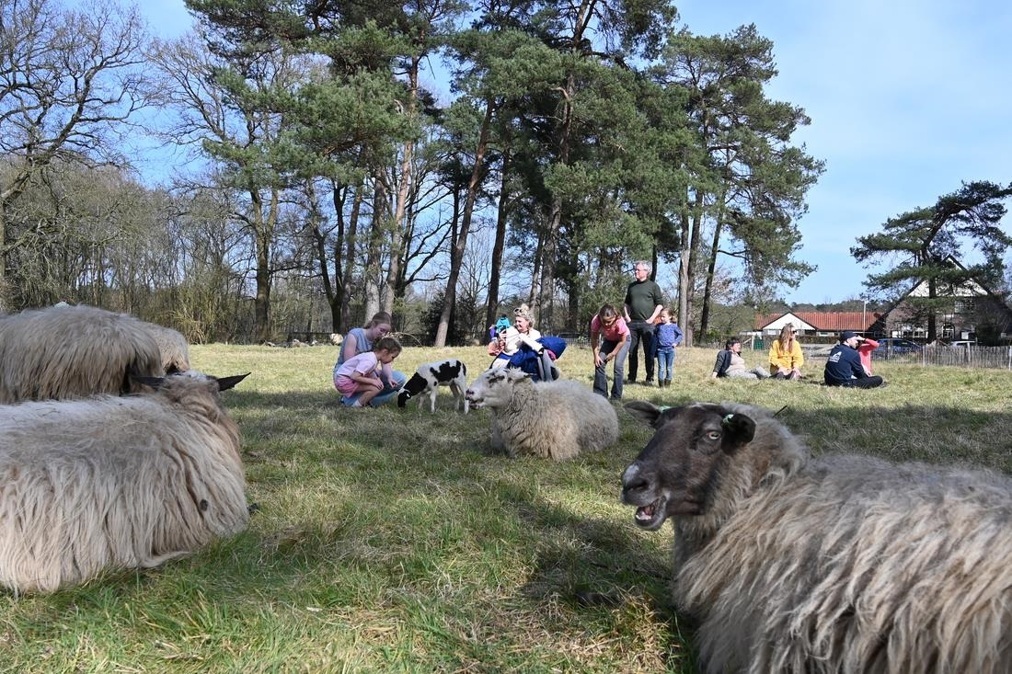 ZCA_9551-de-belhamel-22-03-2025