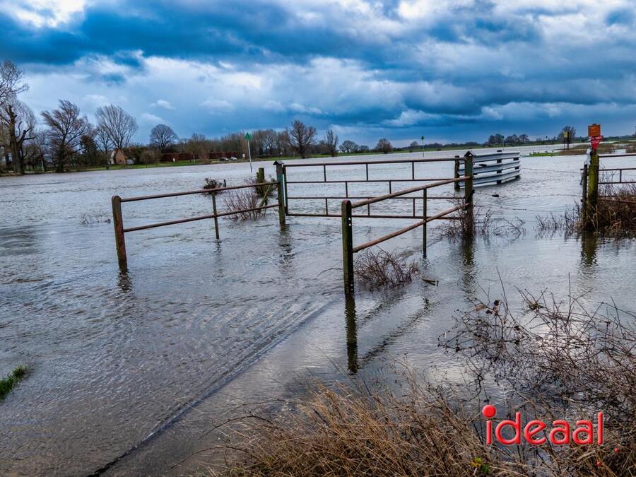 Hoog-water-Bronckhorst_Zutphen-15.01.2023-7