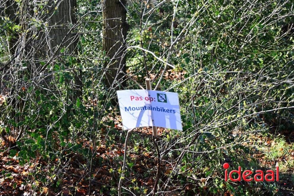 JB-wandel5maandse-2026-03-15-026