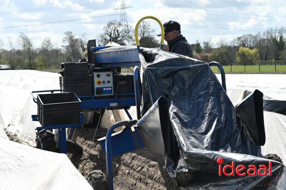 JB-Plattelandswandeling-2026-03-29-135