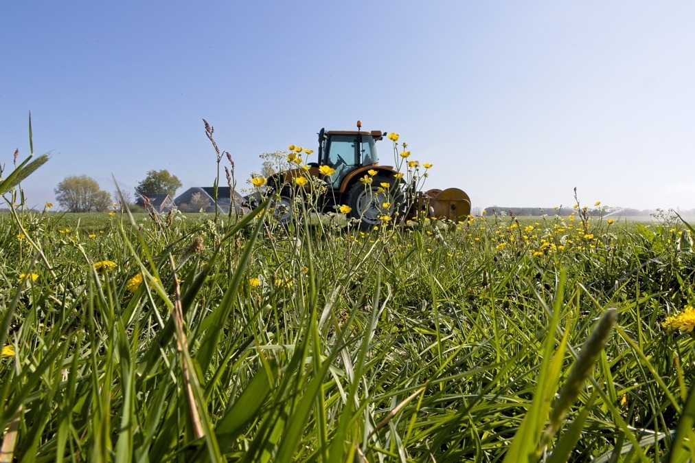 Tractor.jpg