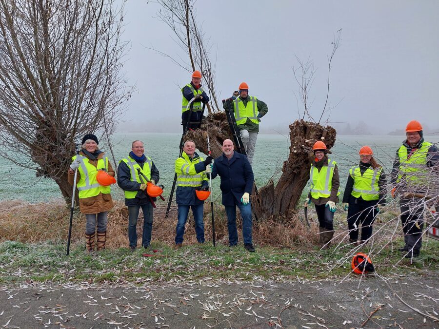20221210_134855-bomen-knotten-wichmond-scaled