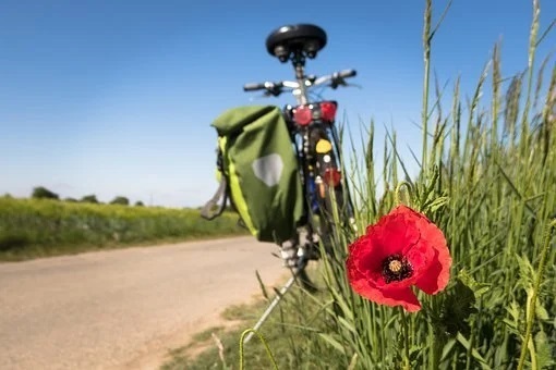 Fietsen.jpg