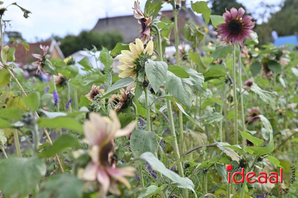 JB-opendag-2026-09-05-0041