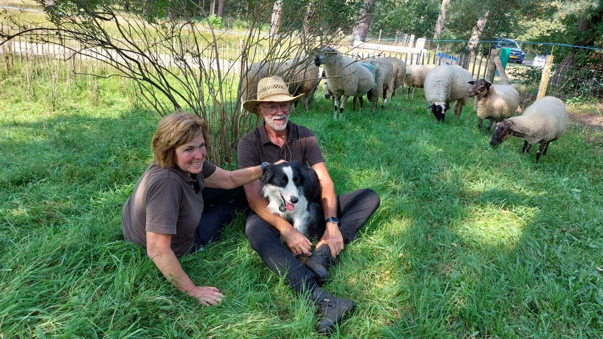 JB-zeldsamelandbouwhuisdieren09-09-2023_22