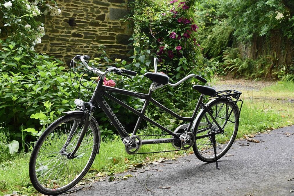 tandem-bike-4266699_1280