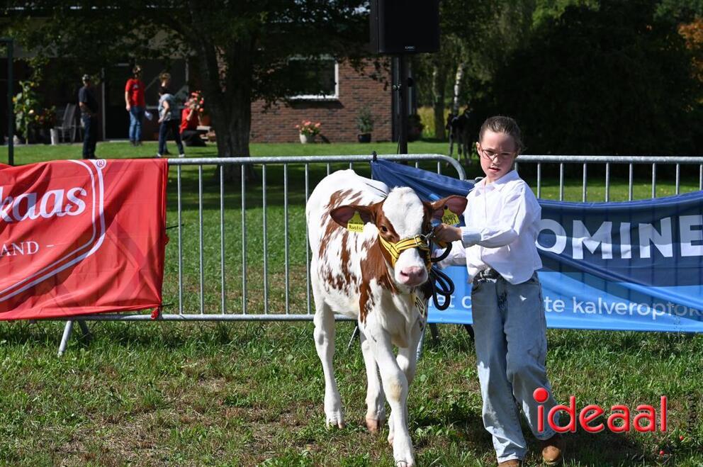JB-KOCBronckhorst-2026-08-29-0058