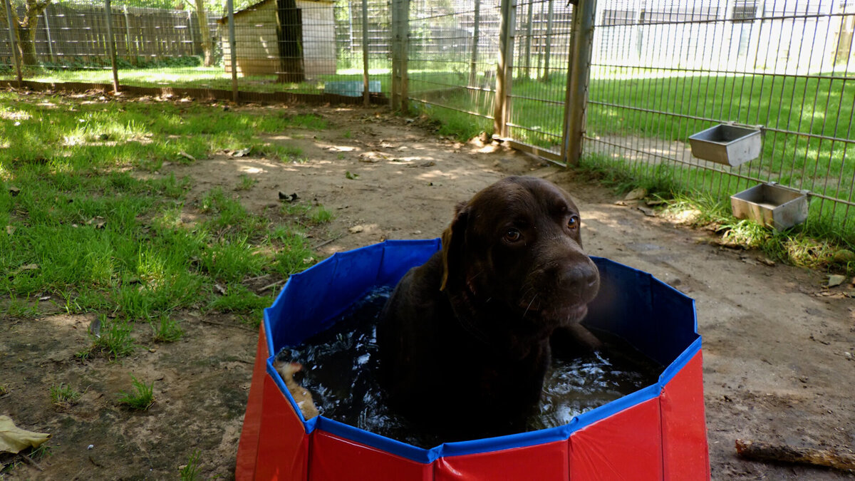 DierenWarmte0