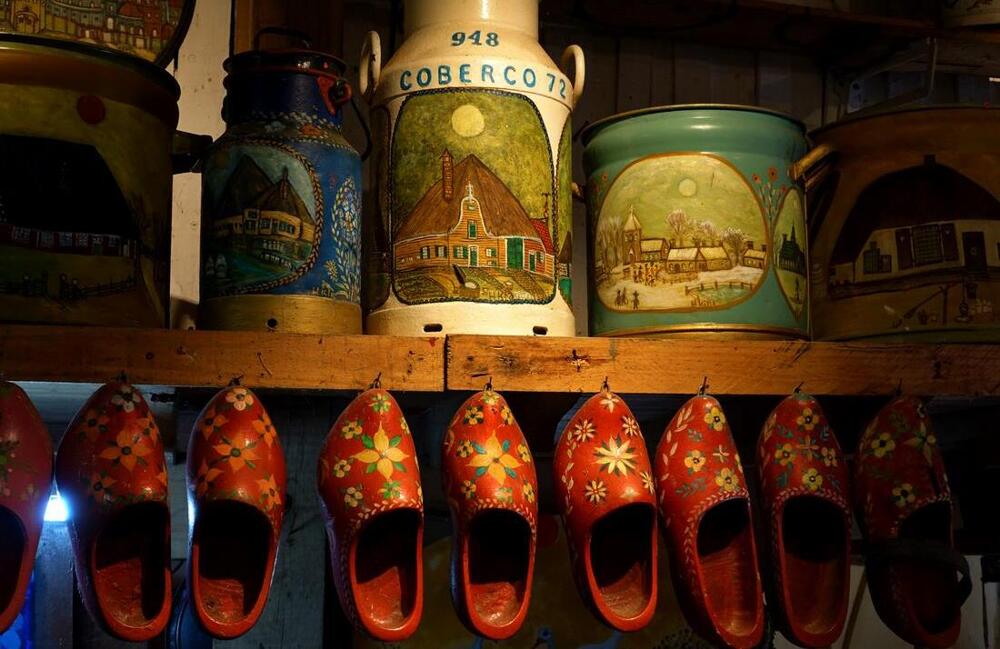 boer kip - DSC02386