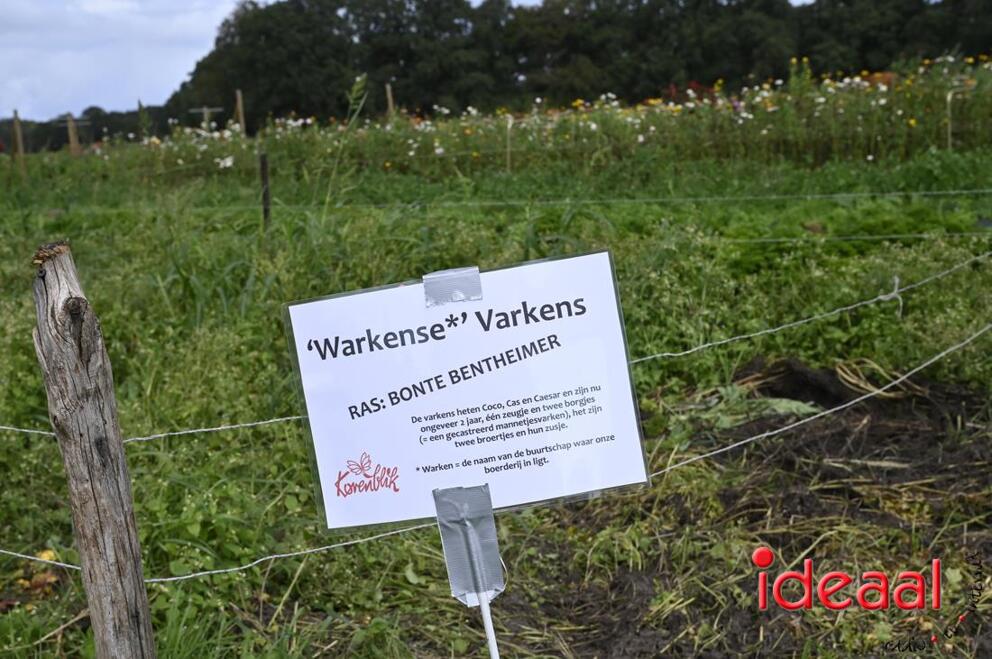 JB-opendag-2026-09-05-0045