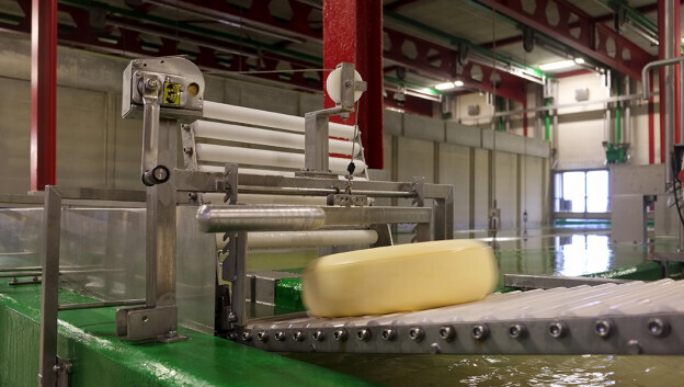 frieslandcampinasteenderen2015-rtv-ideaal