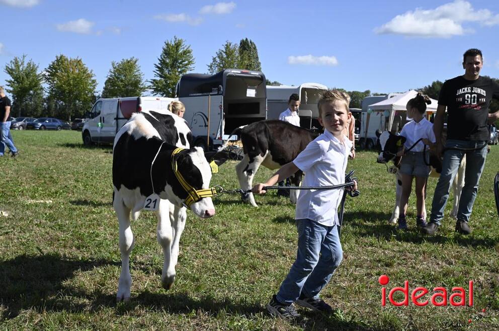 JB-KOCBronckhorst-2026-08-29-0020