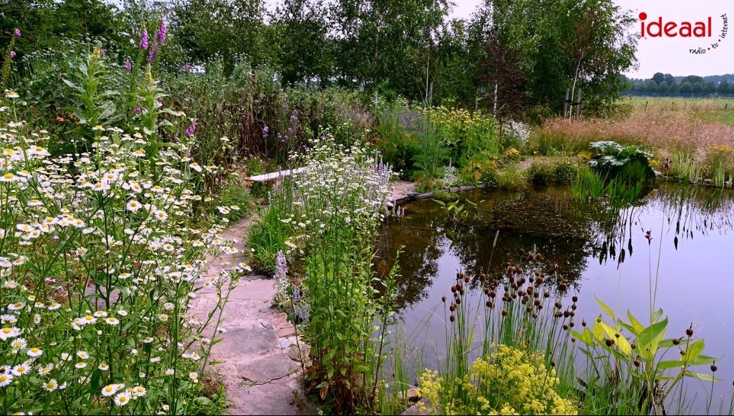 tuinenhengelo