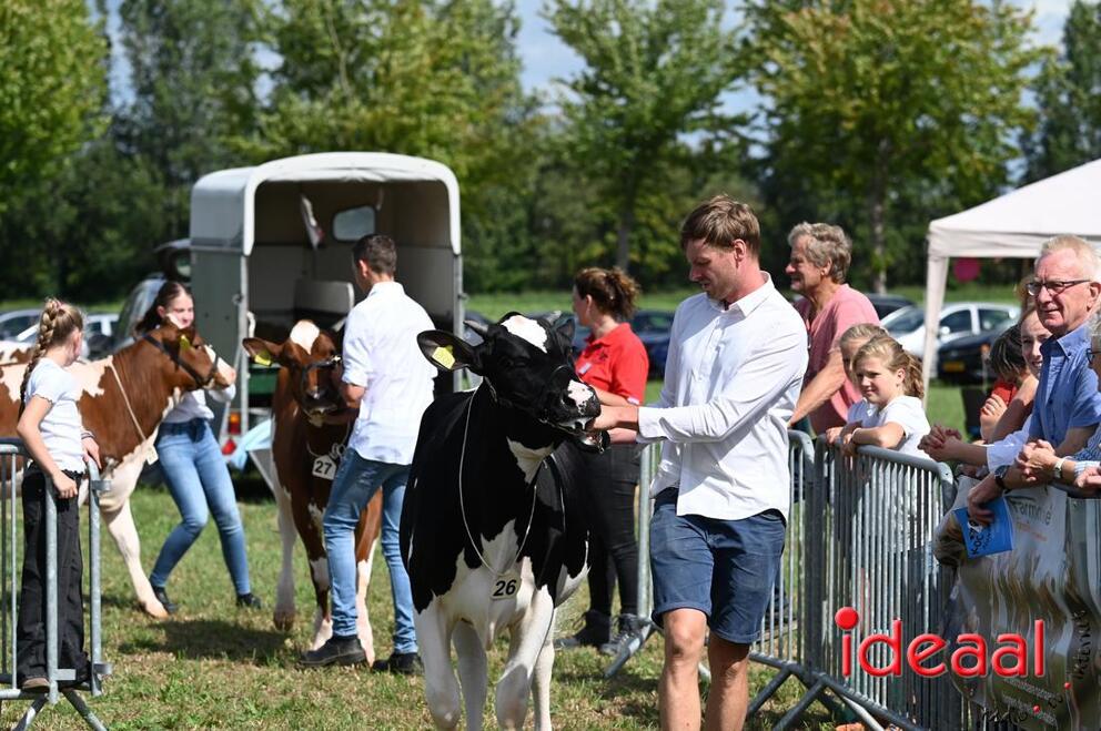 JB-KOCBronckhorst-2026-08-29-0064