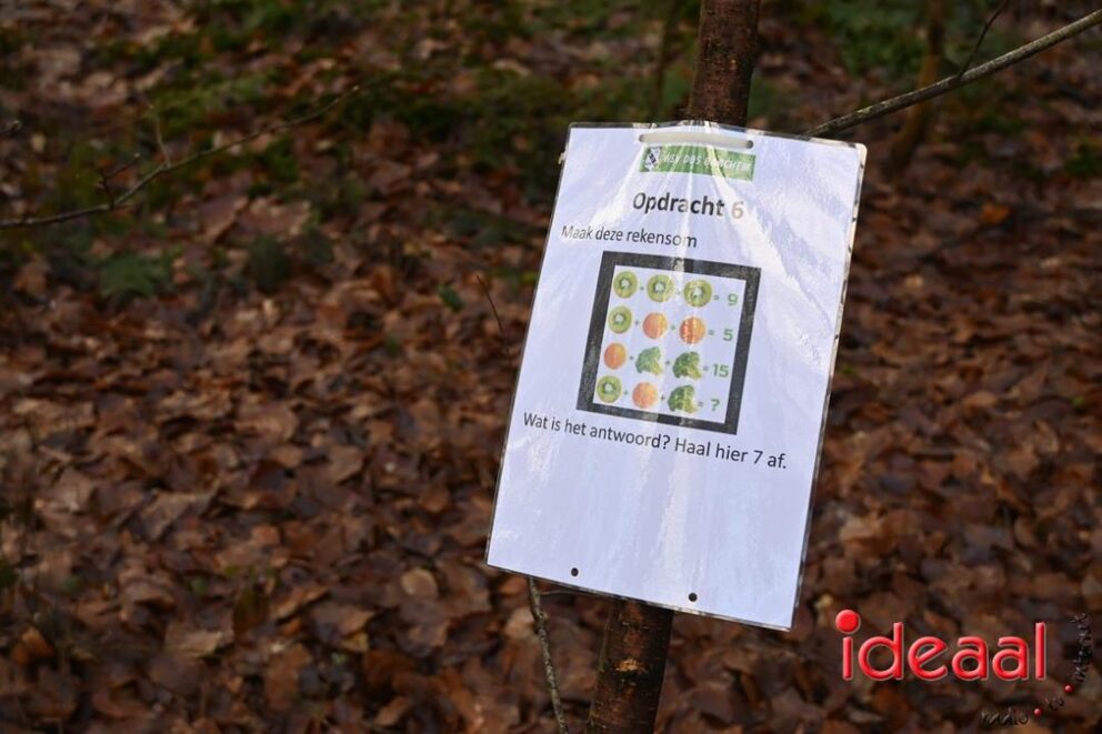 JB-wandel5maandse-2026-03-15-040