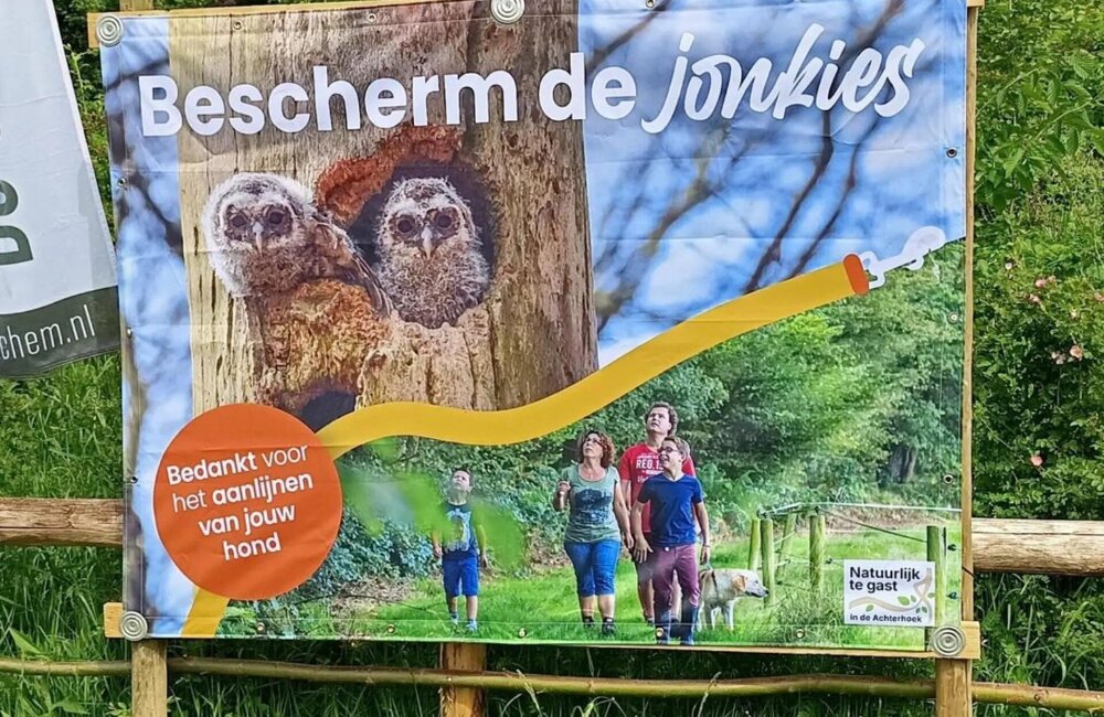 Bescherm20jonkies_2.jpg
